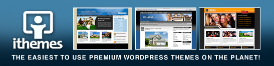 Blog Marketing - Great WordPress Themes