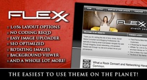 Flexx Theme Review