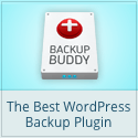 BackupBuddy, WordPress Backup Plugin