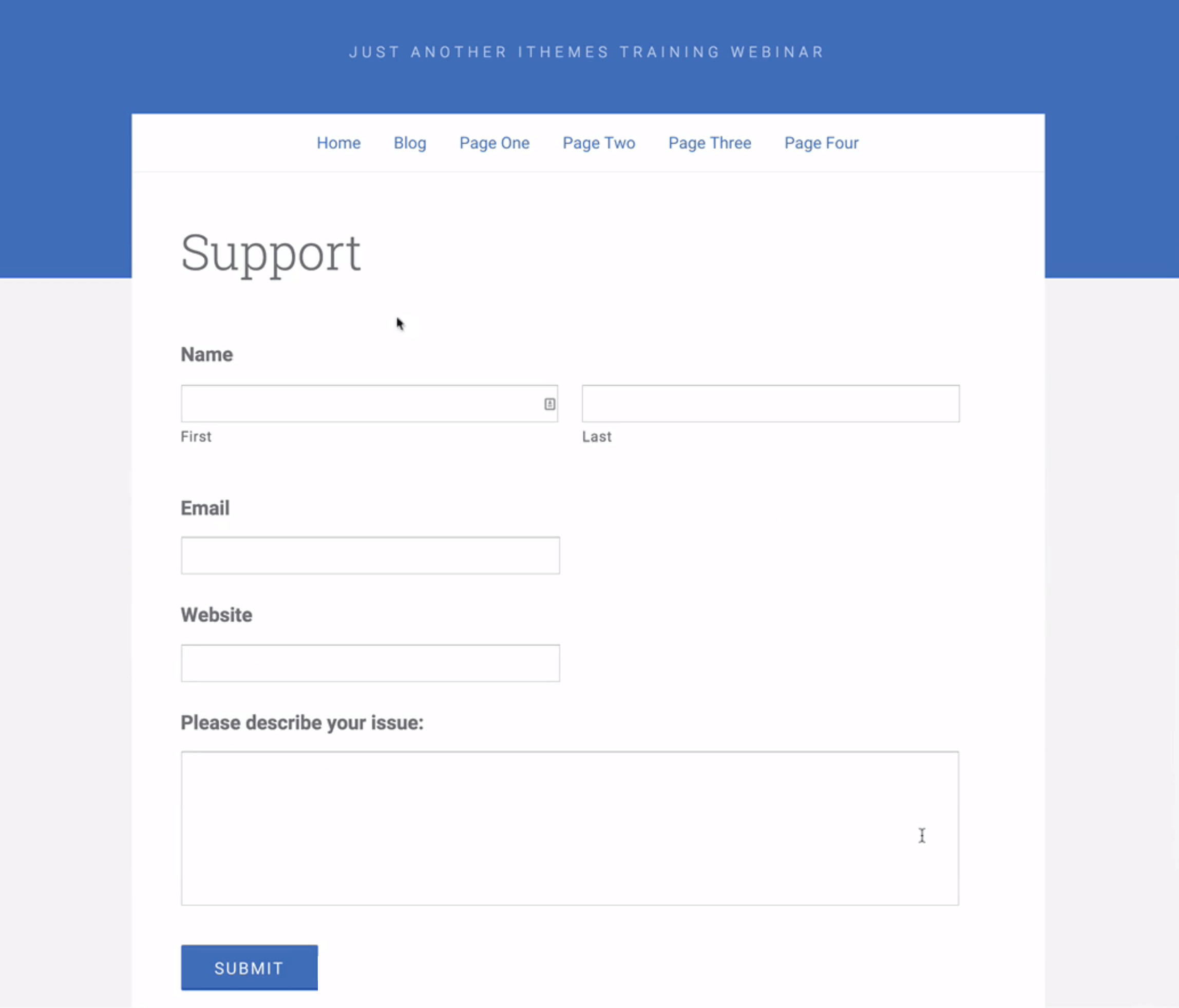 support-form-wordpress-website