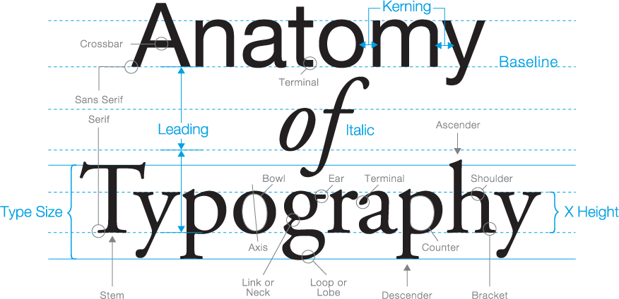 typography for web designers