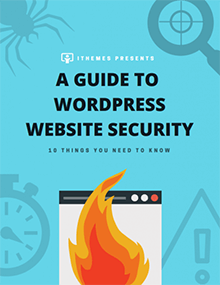 WordPress security guide