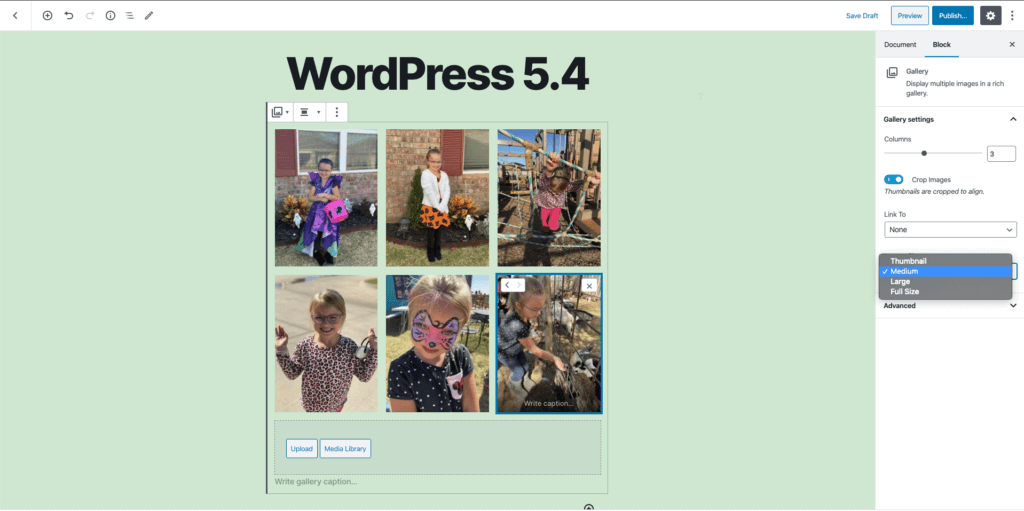 WordPress 5.4 is Coming and, it’s Time to Ditch the Classic Editor 7