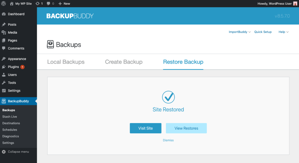 BackupBuddy Feature Spotlight: Restore Plugins, Themes, WordPress Version and Individual Files 16