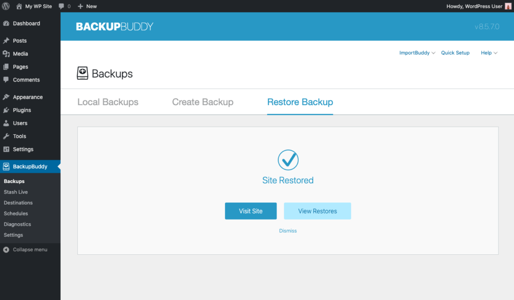 BackupBuddy Feature Spotlight: Restore Plugins, Themes, WordPress Version and Individual Files 12