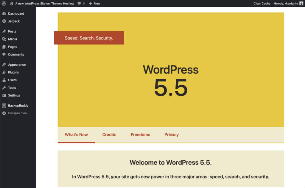 WordPress 5.5 update 