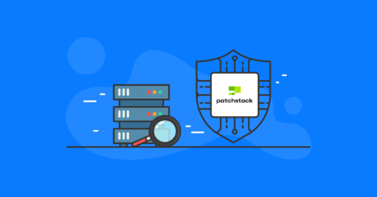 Patchstack 2022 WordPress Security Review